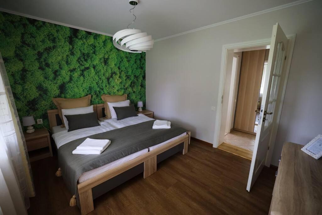 Greenland Apartments Cesis Exterior photo